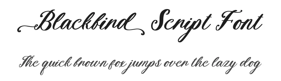 Blackbird Script Font by Fikryal Studio — Script Handwritten Font