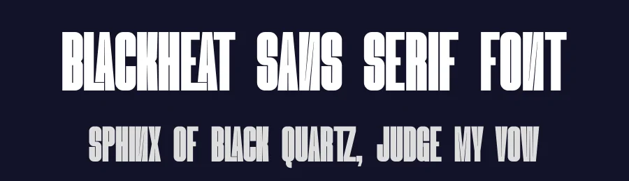 Blackheat Sans Serif Font by Almarkhatype Studio — Sans Serif Font — thumbnail 2