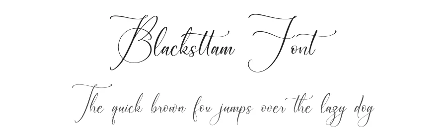 Blacksttam Font by Storytype — Script Handwritten Font