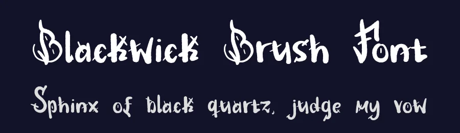 Blackwick Brush Font by Dmletter studio — Script Handwritten Font — thumbnail 2