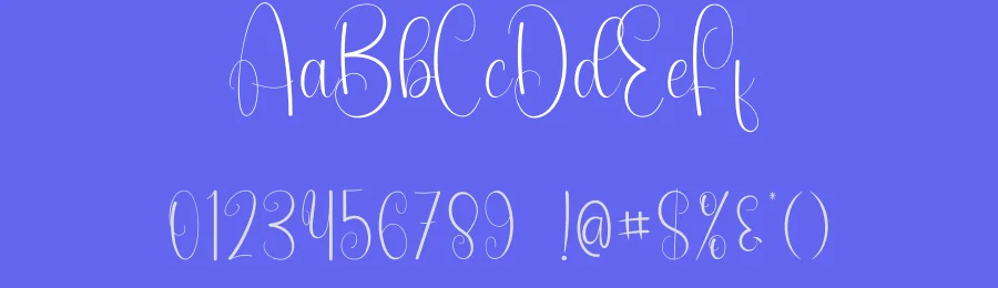 Blacky Calligraphy Font by andikastudio — Script Handwritten Font — thumbnail 3