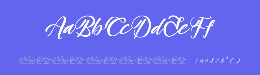 Blakely Quincy – Bold Handbrush Script Font by stylishtype.co — Script Handwritten Font — thumbnail 3