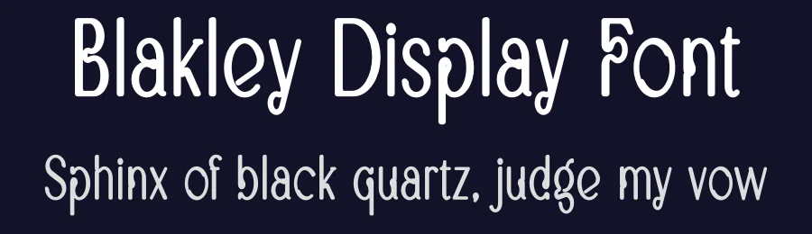Blakley Display Font by vpcreativeshop — Display Font — thumbnail 2