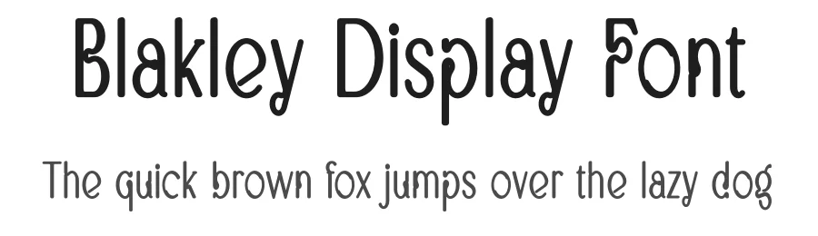 Blakley Display Font by vpcreativeshop — Display Font