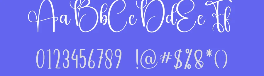 Blanket Script Font by creativeletter — Script Handwritten Font — thumbnail 3