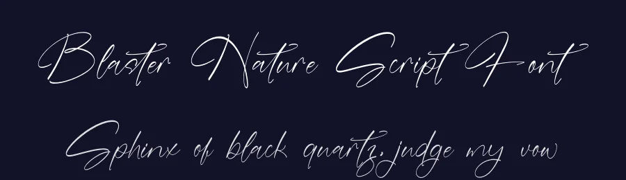 Blaster Nature Script Font by stylishtype.co — Script Handwritten Font — thumbnail 2