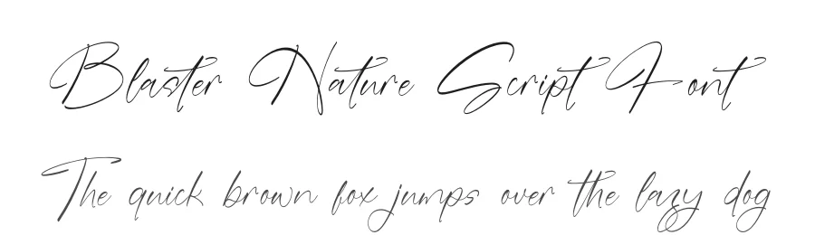 Blaster Nature Script Font by stylishtype.co — Script Handwritten Font