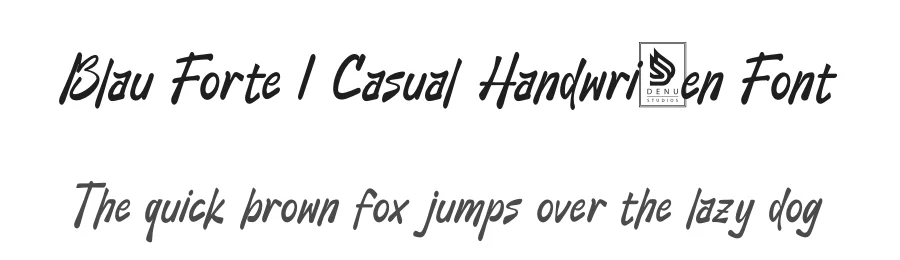 Blau Forte | Casual Handwritten Font by Gracetypestudio — Script Handwritten Font