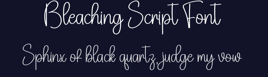 Bleaching Script Font by creativeletter — Script Handwritten Font — thumbnail 2
