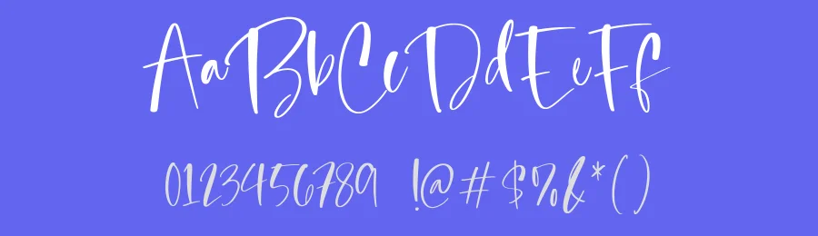 Blessed Primrose Font by Timur type — Script Handwritten Font — thumbnail 3
