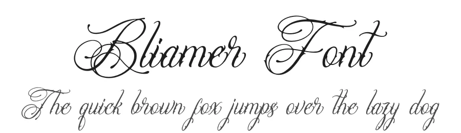 Bliamer Font by Denustudios — Script Handwritten Font