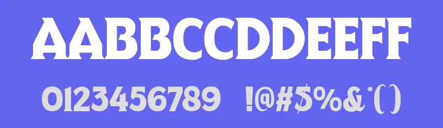Blijvers Font by Studio TRQ — Display Font — thumbnail 3