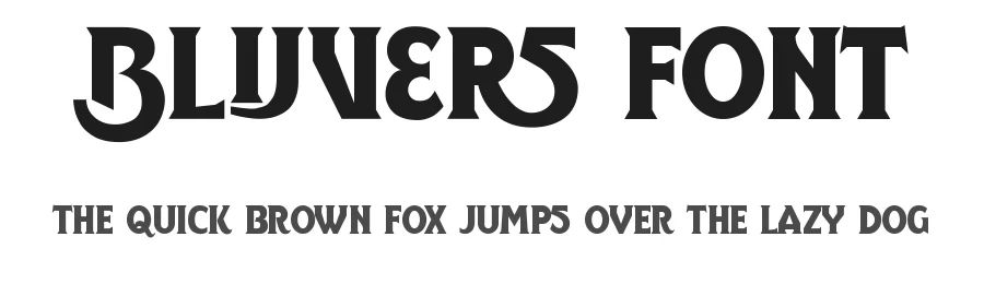 Blijvers Font by Studio TRQ — Display Font