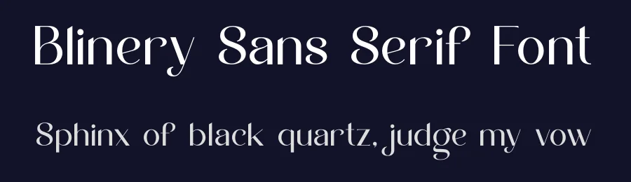 Blinery Sans Serif Font by ErmediaStudio — Serif Font — thumbnail 2