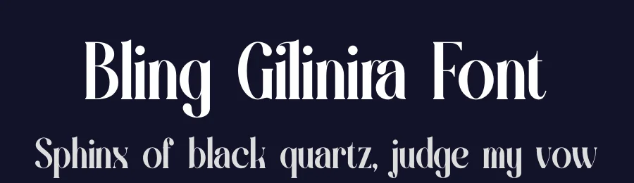 Bling Gilinira Font by Denustudios — Serif Font — thumbnail 2