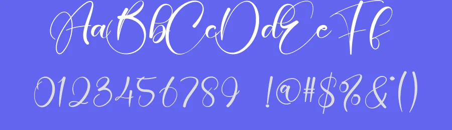 Blink Calligraphy Font by creativeletter — Script Handwritten Font — thumbnail 3