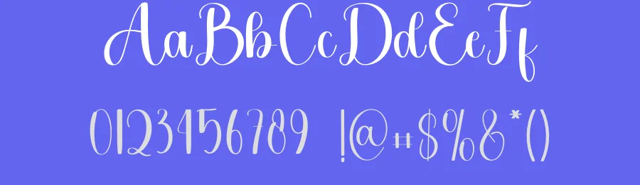 Blink Style Script Font by freshtypeink — Script Handwritten Font — thumbnail 3