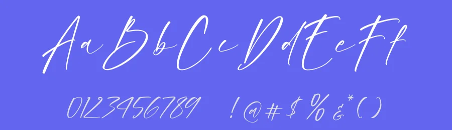 Blissful Harmony Font by Operatype.Co — Decorative Font — thumbnail 3