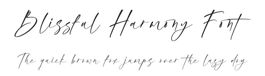 Blissful Harmony Font by Operatype.Co — Decorative Font