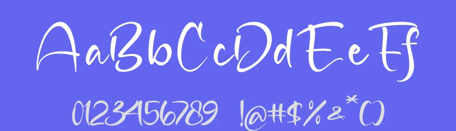 Blissful Pedals Script Font by stylishtype.co — Script Handwritten Font — thumbnail 3