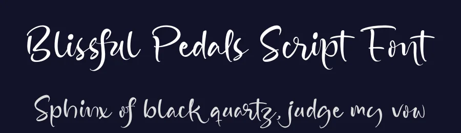 Blissful Pedals Script Font by stylishtype.co — Script Handwritten Font — thumbnail 2