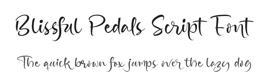 Blissful Pedals Script Font by stylishtype.co — Script Handwritten Font