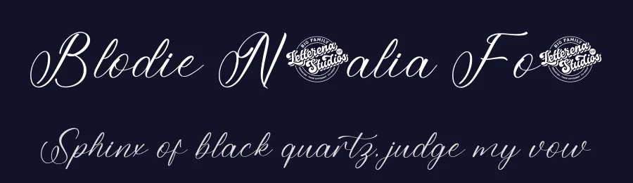 Blodie Natalia Font by letterenastudios — Script Handwritten Font — thumbnail 2