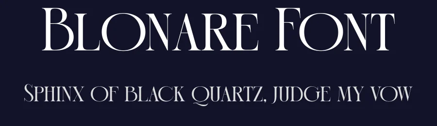 Blonare Font by timelesstype.co — Serif Font — thumbnail 2