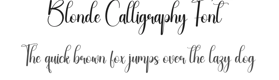 Blonde Calligraphy Font by creativeletter — Script Handwritten Font