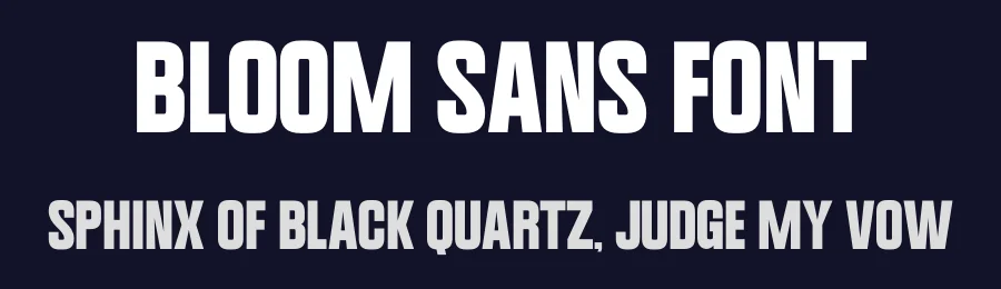 Bloom Sans Font by Funtype — Decorative Font — thumbnail 2