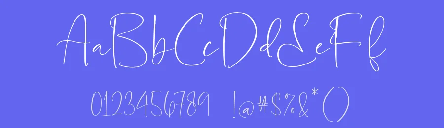 Blooming Stockholm Script Font by stylishtype.co — Script Handwritten Font — thumbnail 3