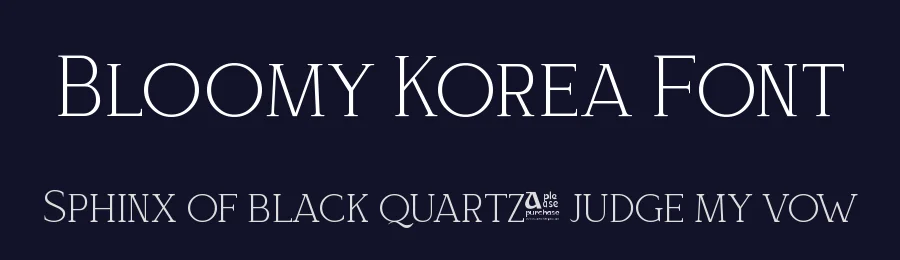 Bloomy Korea Font by Artchitype Studio — Serif Font — thumbnail 2