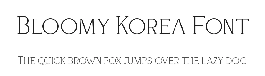Bloomy Korea Font by Artchitype Studio — Serif Font
