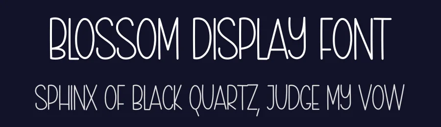 Blossom Display Font by creativeletter — Display Font — thumbnail 2