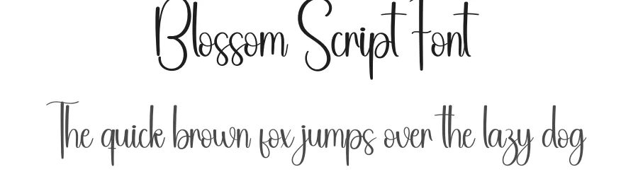 Blossom Script Font by andikastudio — Script Handwritten Font