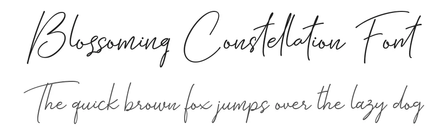 Blossoming Constellation Font by Letterhanna Studio — Script Handwritten Font