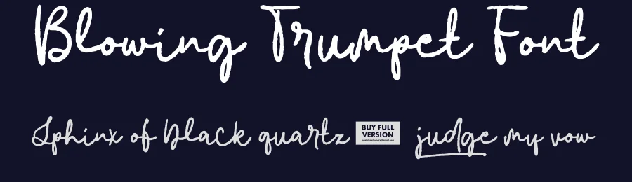 Blowing Trumpet Font by Anxietype Foundry — Script Handwritten Font — thumbnail 2