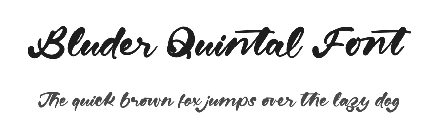 Bluder Quintal Font by stylishtype.co — Script Handwritten Font