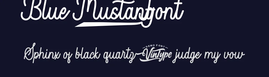 Blue Mustang Font by VinType — Script Handwritten Font — thumbnail 2