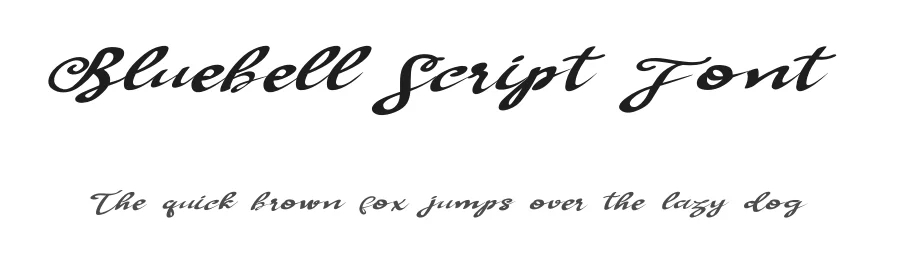 Bluebell Script Font by andikastudio — Script Handwritten Font
