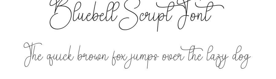 Bluebell Script Font by creativeletter — Script Handwritten Font