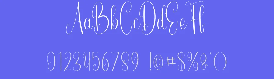 Blueberry Handwritten Font by andikastudio — Script Handwritten Font — thumbnail 3