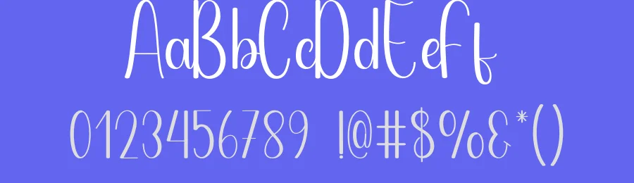Blueberry Modern Script Font by andikastudio — Script Handwritten Font — thumbnail 3