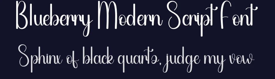 Blueberry Modern Script Font by andikastudio — Script Handwritten Font — thumbnail 2