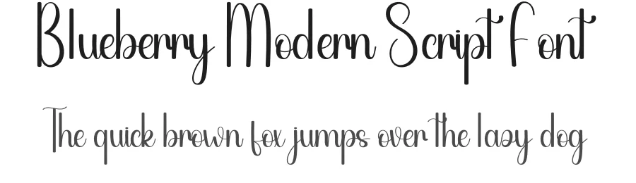 Blueberry Modern Script Font by andikastudio — Script Handwritten Font
