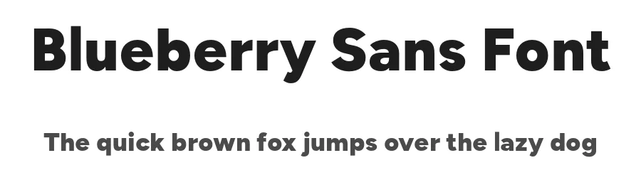 Blueberry Sans Font by Erik Kennedy — Sans Serif Font