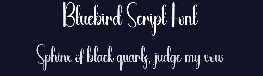 Bluebird Script Font by andikastudio — Script Handwritten Font — thumbnail 2