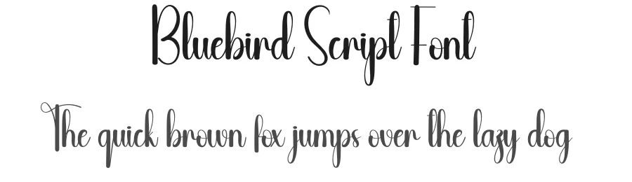 Bluebird Script Font by andikastudio — Script Handwritten Font