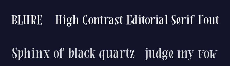 BLURE – High Contrast Editorial Serif Font by roomspace.cl — Serif Font — thumbnail 2