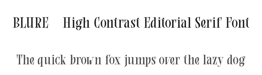 BLURE – High Contrast Editorial Serif Font by roomspace.cl — Serif Font
